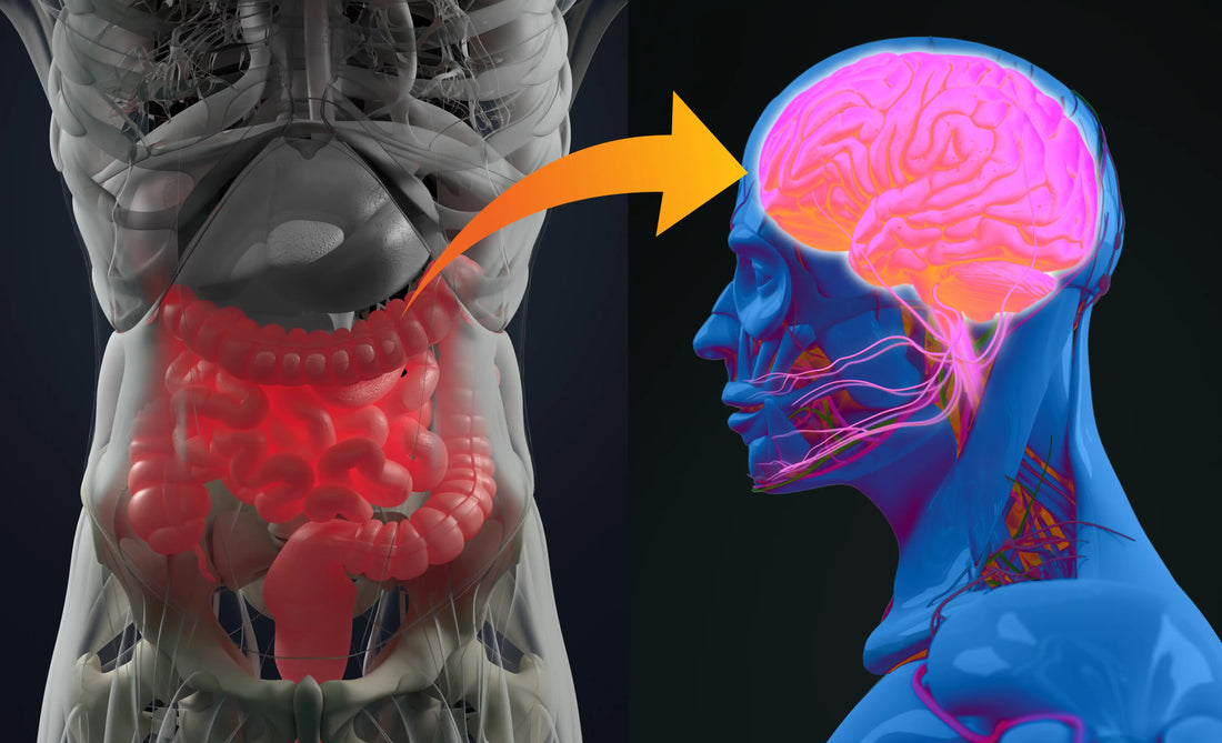 What Exactly is Dementia, and How Does It Differ from Alzheimer’s?